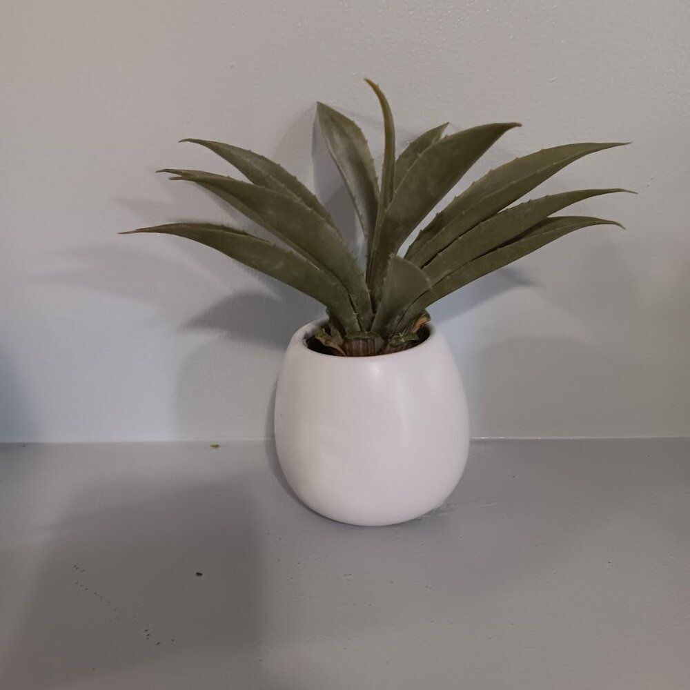 Tabletop Arrangements